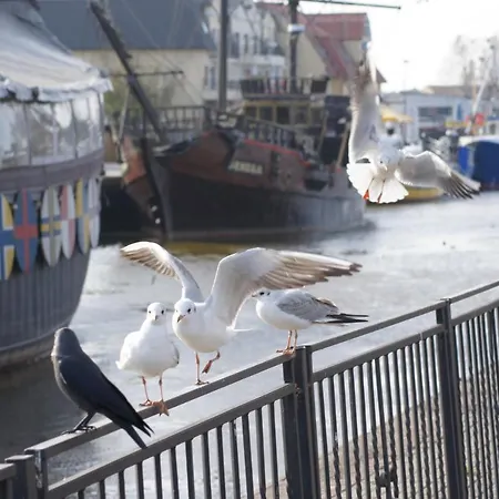 아파트 Pod Papugami W Porto 웨바