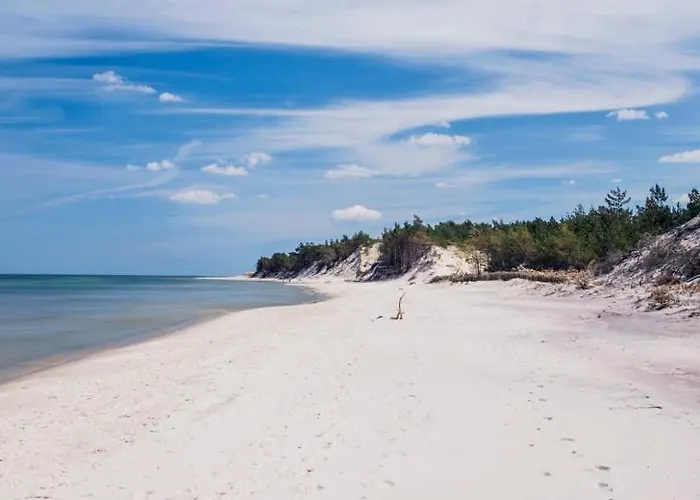 Pod Papugami W Porto *