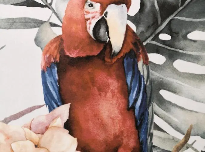 Pod Papugami W Porto *